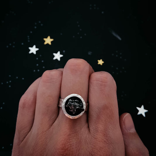 CLEARANCE Chunky Round Raw Meteorite Ring in Silver